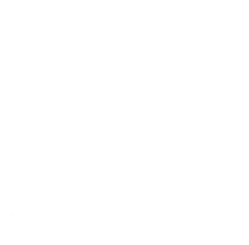 Anjana Digital Expert